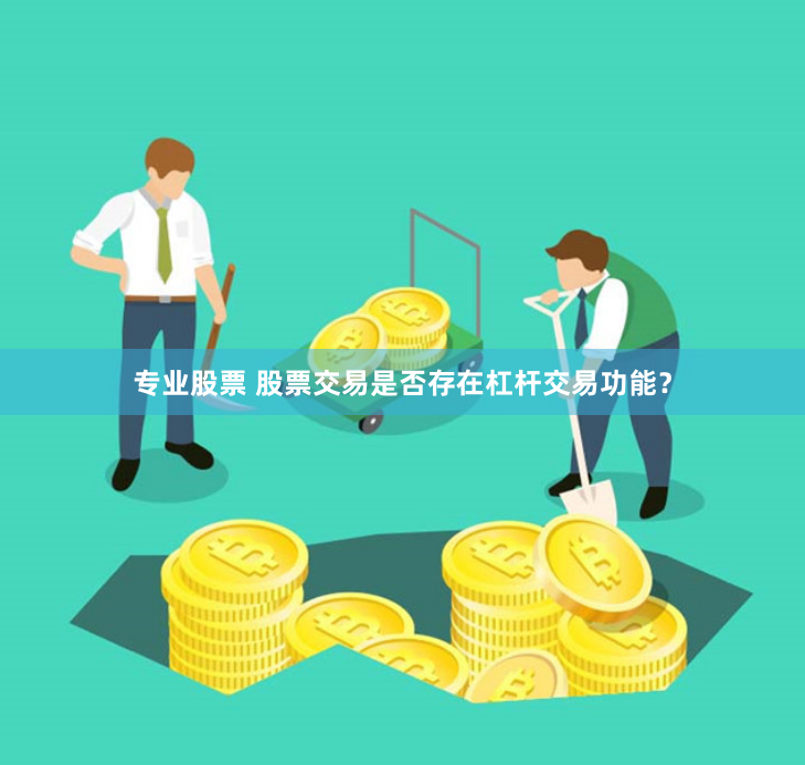专业股票 股票交易是否存在杠杆交易功能？