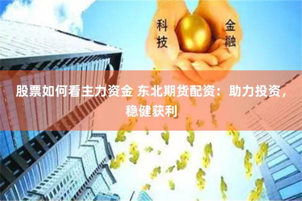 股票如何看主力资金 东北期货配资：助力投资，稳健获利