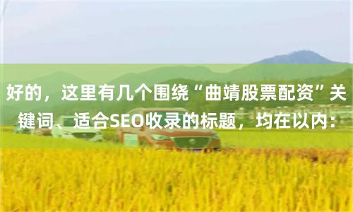 好的，这里有几个围绕“曲靖股票配资”关键词、适合SEO收录的标题，均在以内：